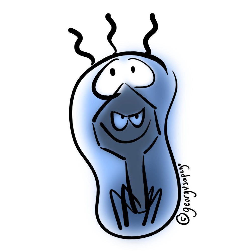 Бактерия с фагом