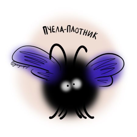 одиночная черная пчела